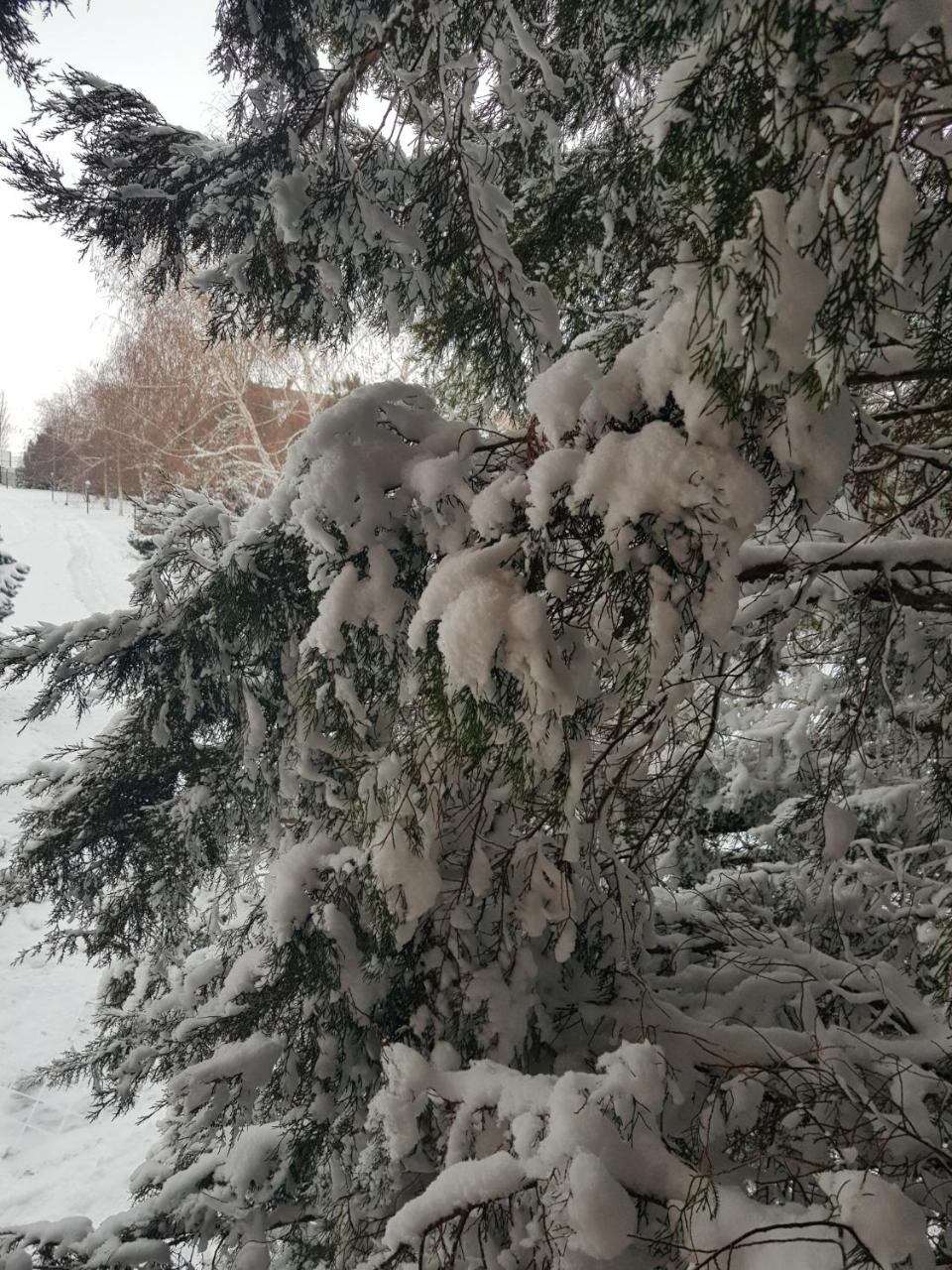 Panska Hata Hotel Nyzhnya Khortytsya Buitenkant foto