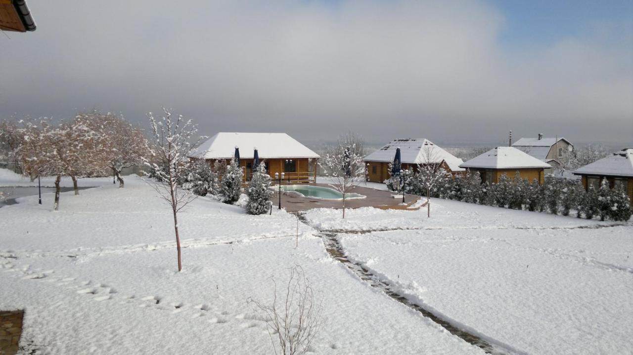 Panska Hata Hotel Nyzhnya Khortytsya Buitenkant foto
